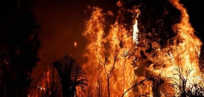 Amazônia tem maior número de queimadas nas primeiras semanas de junho
