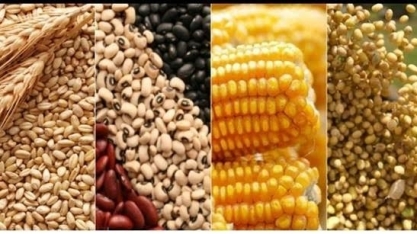 Brasil deve ter safra recorde de 245,9 milhões de toneladas em 2020