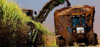 Prioridade ao açúcar fará produção de etanol cair 6 a 7 bi de litros