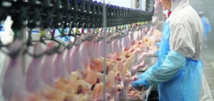 Vietnã habilita 4 plantas de aves e 1 de suínos para exportação de carne 