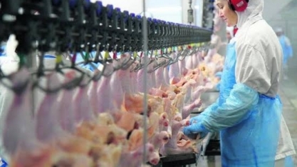 Vietnã habilita 4 plantas de aves e 1 de suínos para exportação de carne 
