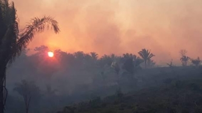 Pressão de investidores contra desmatamento gera alerta na equipe econômica