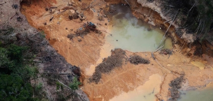 Bioeconomia pode salvar a Amazônia