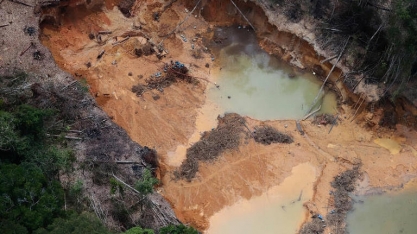 Bioeconomia pode salvar a Amazônia