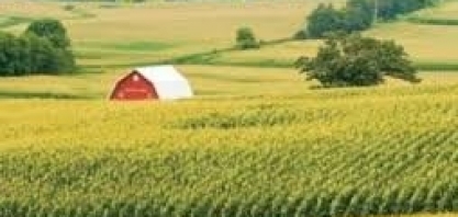 Mudanças climáticas podem afetar a segunda safra de milho no Brasil 