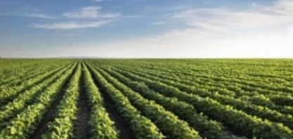 Brasil é exemplo de produção sustentável em larga escala