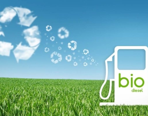 Leilão de biodiesel bate recorde e aponta retomada da demanda no transporte