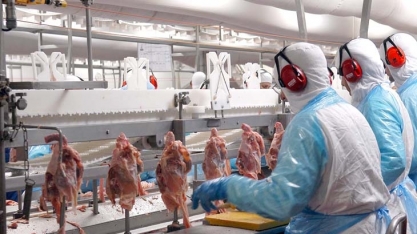 Brasil publica normas obrigatórias para prevenir Covid-19 em frigoríficos