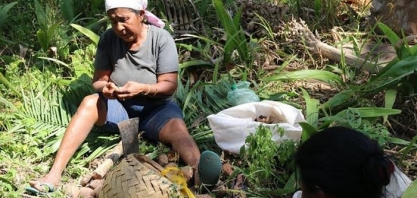 Pandemia sufoca agricultura familiar no Brasil