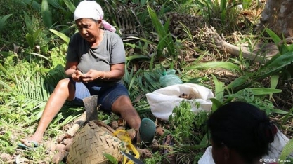 Pandemia sufoca agricultura familiar no Brasil