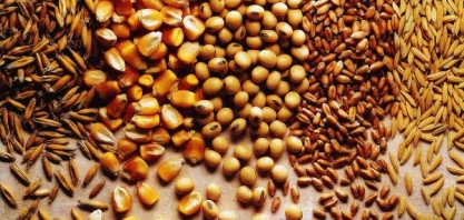 Conab confirma produção recorde de grãos: 250,5 milhões/t