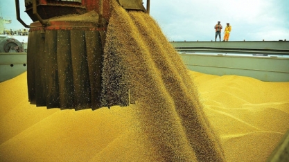 Exportador de soja não pode prometer cargas livres de coronavírus à China  