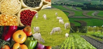 Agro: Por que o Brasil bate recordes e os EUA têm déficit na balança?