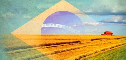 Falta adubo financeiro no Plano Safra 