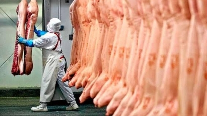 Carne suína: Exportação em maio cresceu 52% em volume e 58% em receita
