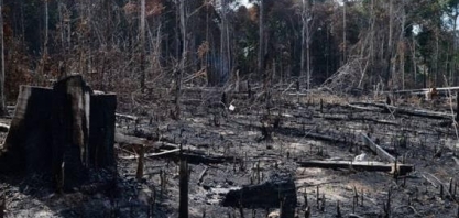 Crime: Mais de 10 mil km2 foram desmatados na Amazônia entre 2018 e 2019