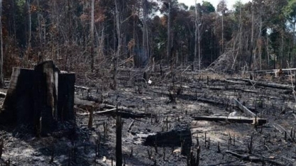 Crime: Mais de 10 mil km2 foram desmatados na Amazônia entre 2018 e 2019