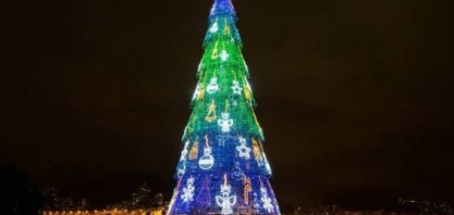 Monte sua árvore – Por Nizan Guanaes