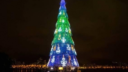 Monte sua árvore – Por Nizan Guanaes