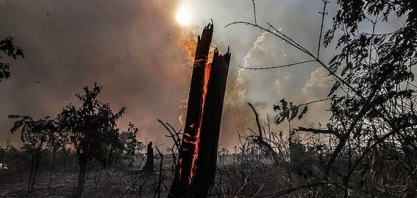 Passivo ambiental de empresas se torna fator de risco e afasta investidor