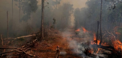 Desmatamento: Empresa da Noruega suspende compra de ração da Cargill