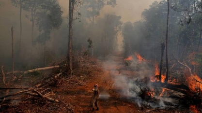 Desmatamento: Empresa da Noruega suspende compra de ração da Cargill