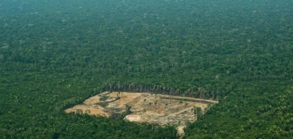 Um consenso amazônico – Por Fernando Gabeira