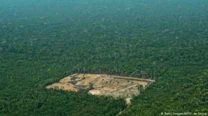 Um consenso amazônico – Por Fernando Gabeira