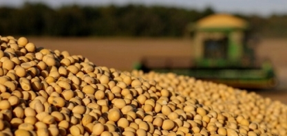 Anec eleva previsões de exportação de soja, farelo e milho em julho