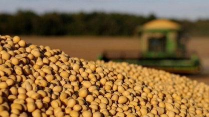 Anec eleva previsões de exportação de soja, farelo e milho em julho
