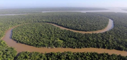 Sustentabilidade tem forte peso para 50% dos fundos estrangeiros