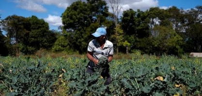 AL: Pesquisa mostra que pandemia pode afetar distribuição de alimentos