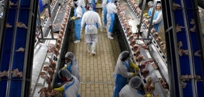 SC quer revogar regras mais duras sobre Covid em frigorífico, diz MPT