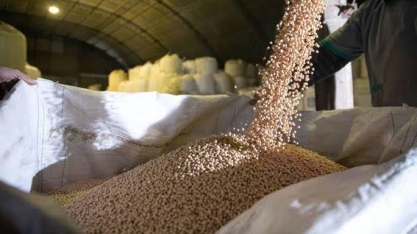 Comércio pela internet é a nova febre no campo 