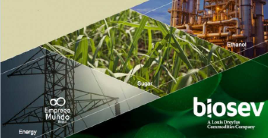 Biosev amplia prejuízo em 2019/2020 para R$ 1,55 bi