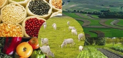 VBP deve atingir R$716,6 bi em 2020; Mapa vê recorde para soja e milho