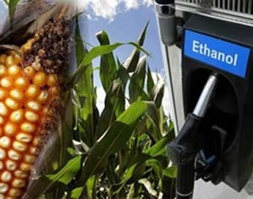 Embaixador dos EUA faz lobby no governo por etanol americano