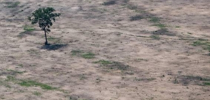 Pressão interna e externa faz crescer interesse na bioeconomia da Amazônia