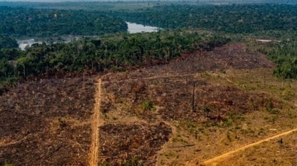 Amazônia: 14º mês seguido de aumento de desmate;junho é o maior desde 2016