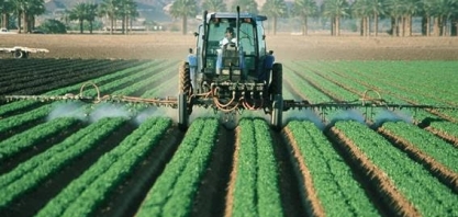 Brasil concede registro para agrotóxicos com dicamba, proibido nos EUA