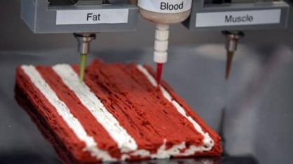 Bifes à base de plantas: em breve em uma impressora 3D perto de você