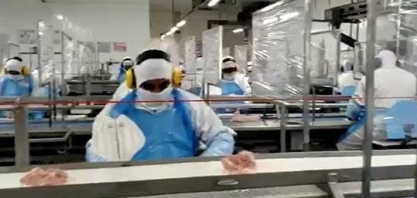 Pandemia coloca frigoríficos brasileiros em “confinamento”