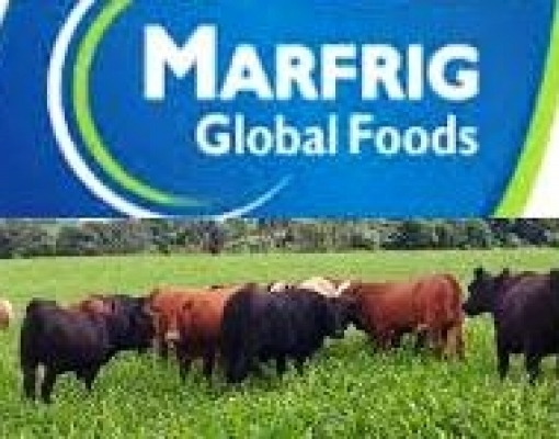 Marfrig rastreará gado para se blindar de boicote do exterior