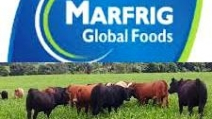 Marfrig rastreará gado para se blindar de boicote do exterior