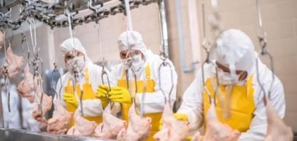 Covid-19 se alastra em frigoríficos e põe trabalhadores em risco