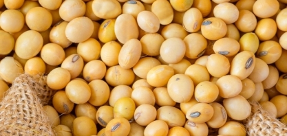 Exportação de soja do Brasil sobe 60,8% em junho; a de açúcar quase dobra