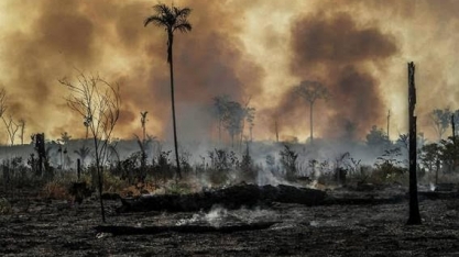 Na contramão, Brasil vê fundos trilionários barrarem empresas nacionais