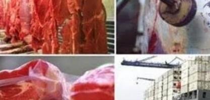 China: Compras de carne bovina do Brasil saltam quase 150% no 1º semestre