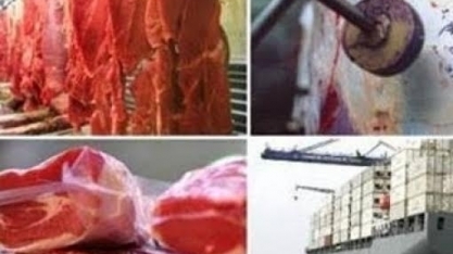 China: Compras de carne bovina do Brasil saltam quase 150% no 1º semestre