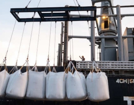 Embarque de açúcar do Brasil fica perto do recorde em julho 